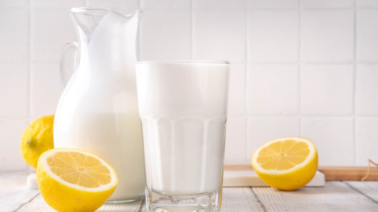 glass of milk and a pitcher of milk with some halved lemons