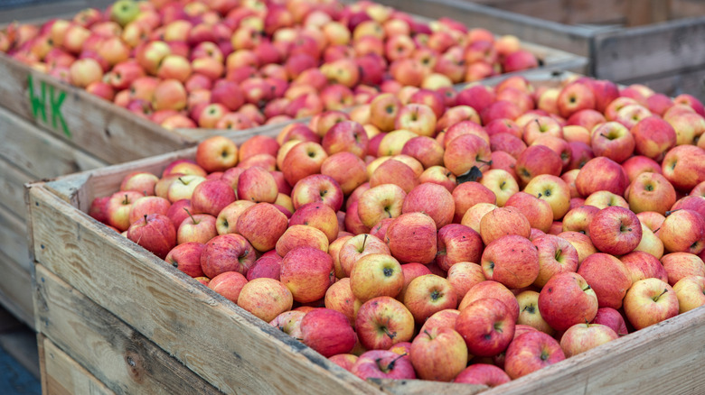 Wooden crates of apples