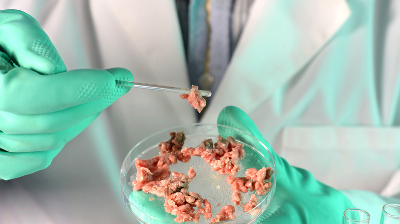 Lab testing meat for E. coli