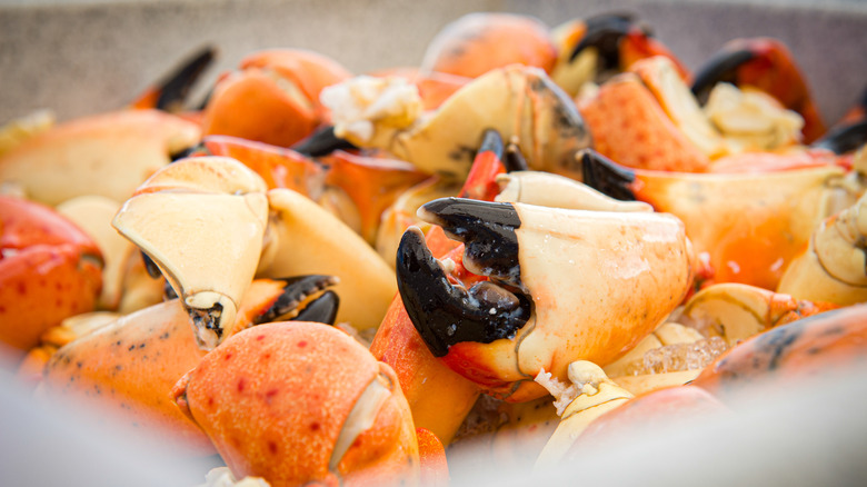 stone crab claws