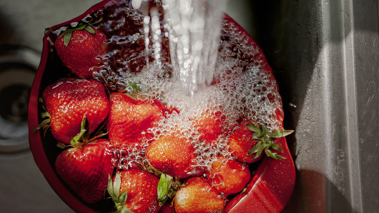 Water running over strawberries in colander