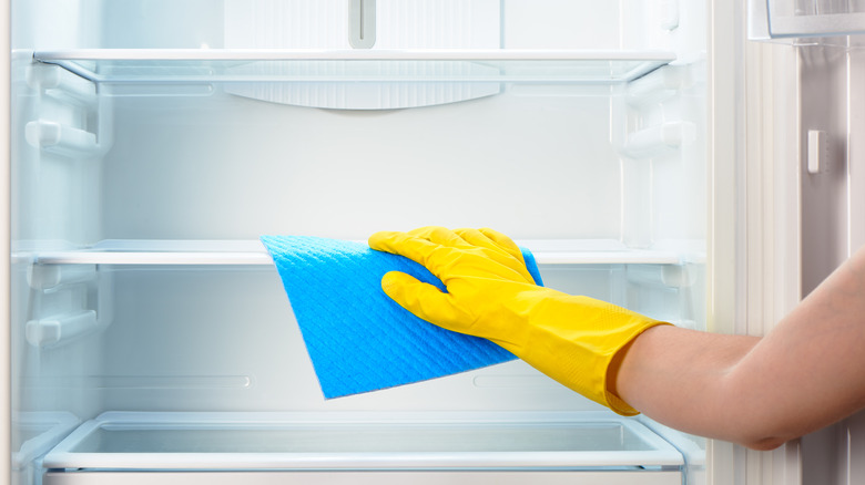 gloved hand cleaning the inside of a fridge