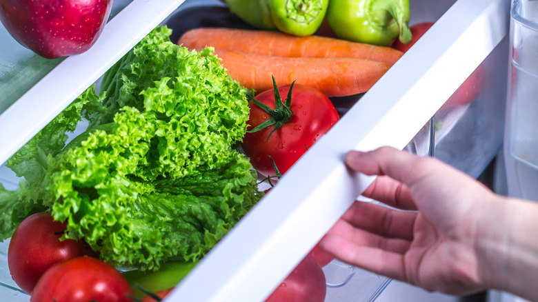 lettuce in refrigerator drawer