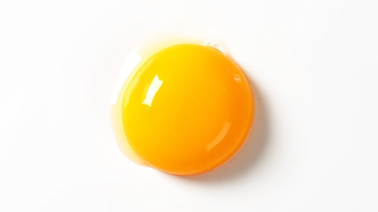 Yellow egg yolk