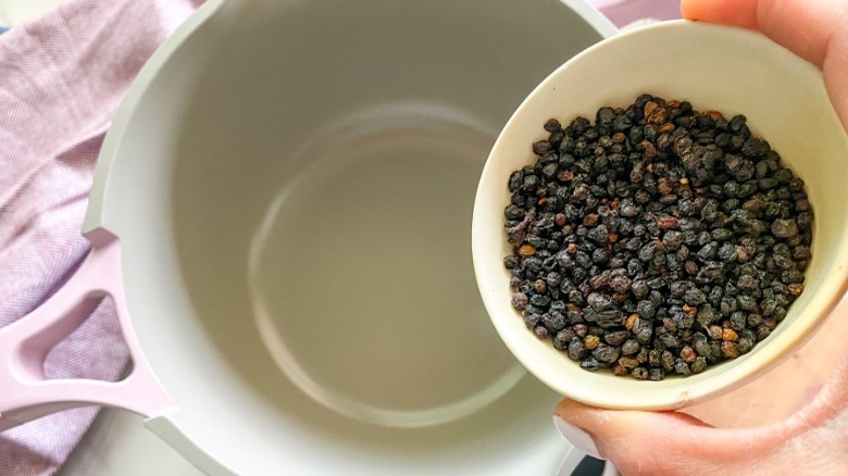 dried elderberries added to pot