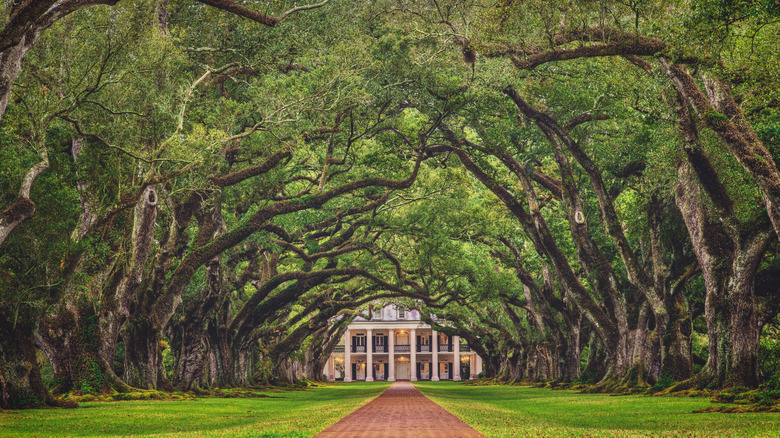 Southern plantation