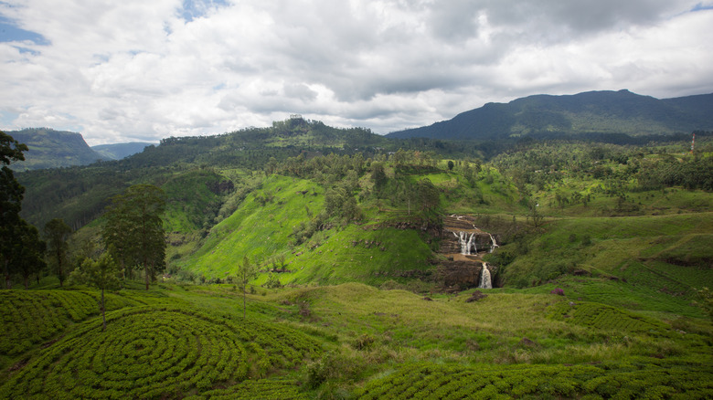 Sri Lanka