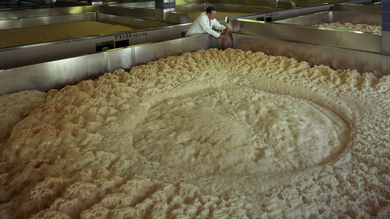 Large fermenting vessels at brewery