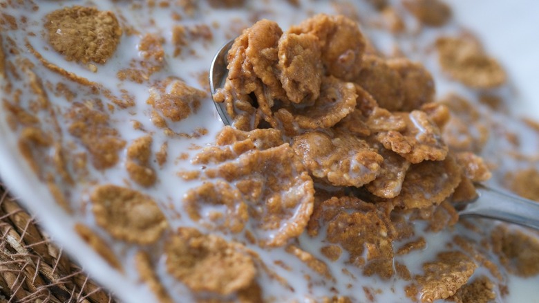 Close-up of a spoon in a bowl of Wheaties with milk