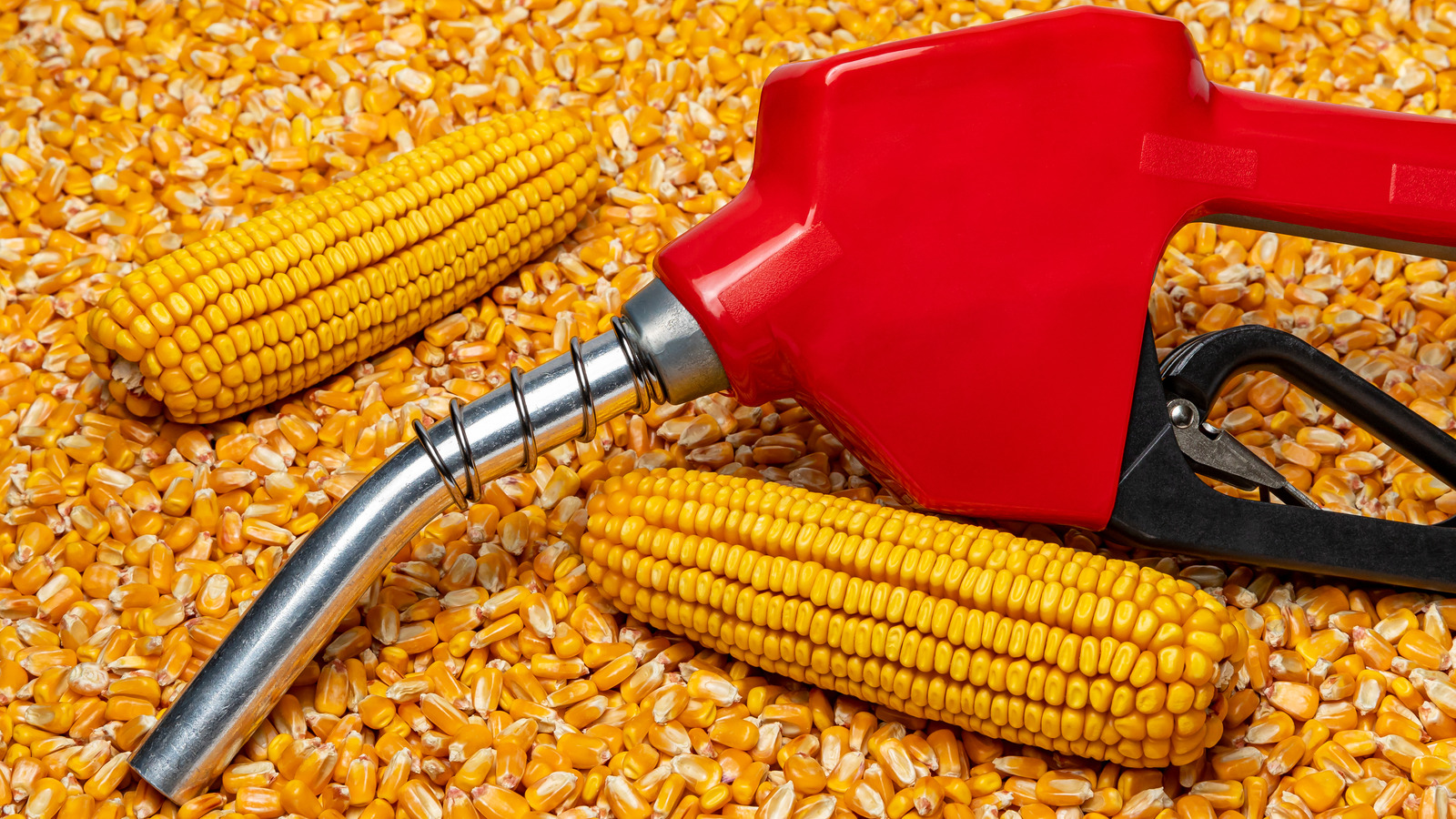 how-biofuel-may-be-worsening-the-food-crisis