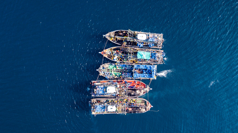 Illegal trawlers in a reserve