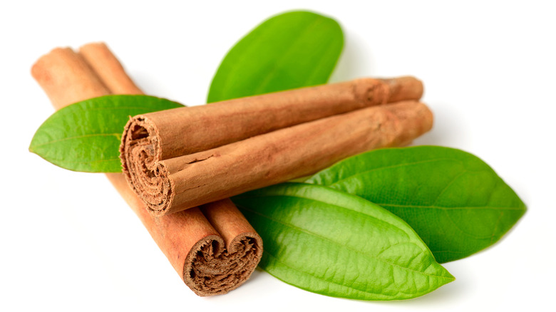 This Or That: Cinnamon Leaf and Cinnamon Bark