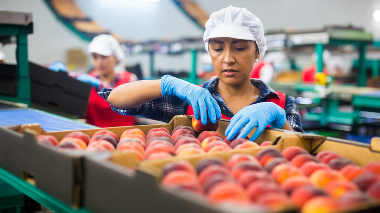 Sorting peaches