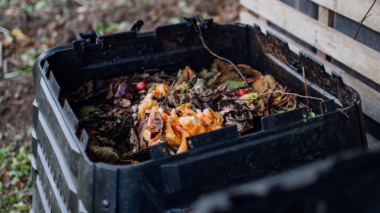 Compost in an outdoor bin