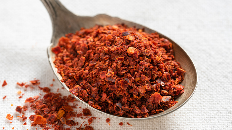 spoon of aleppo pepper flakes