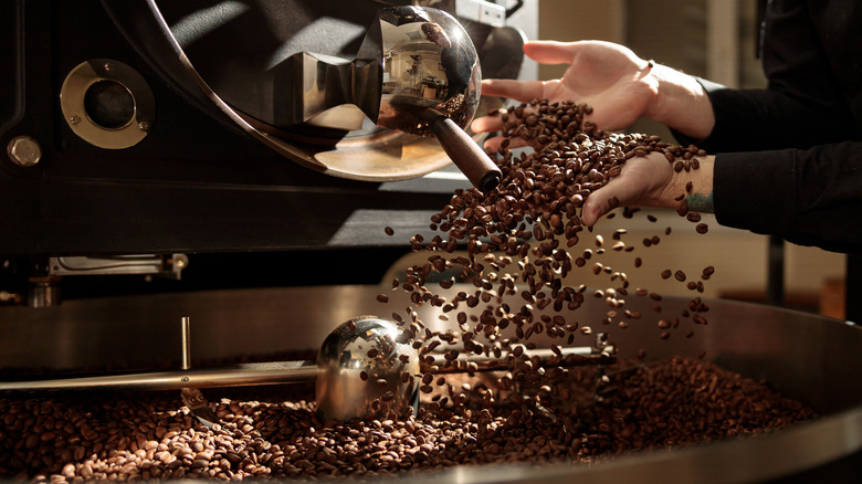 Coffee beans being sifted through someone's hands