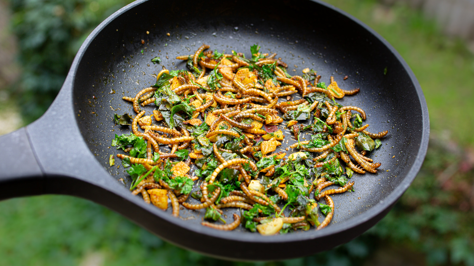 How Entomophagy Has Become A More Accepted Practice Worldwide