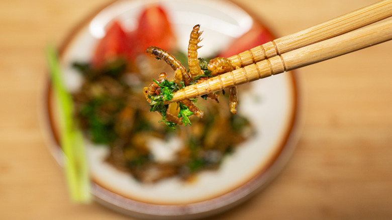 Person using chopsticks to eat a dish made with mealworms.