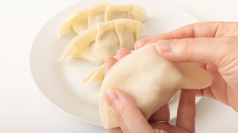 Person wrapping dumplings