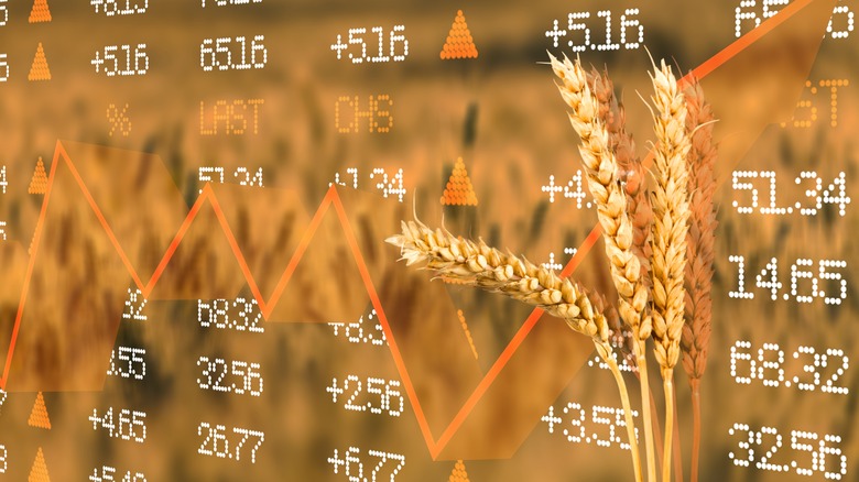 fluctuating wheat prices