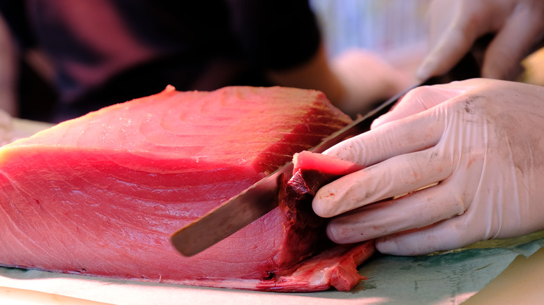 Raw tuna fish cut by gloved hands