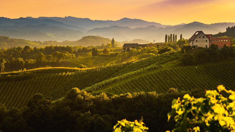 Rolling hills and vineyards in Tuscany