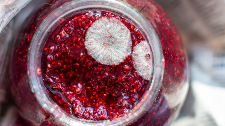 Raspberry jam with mold blooming