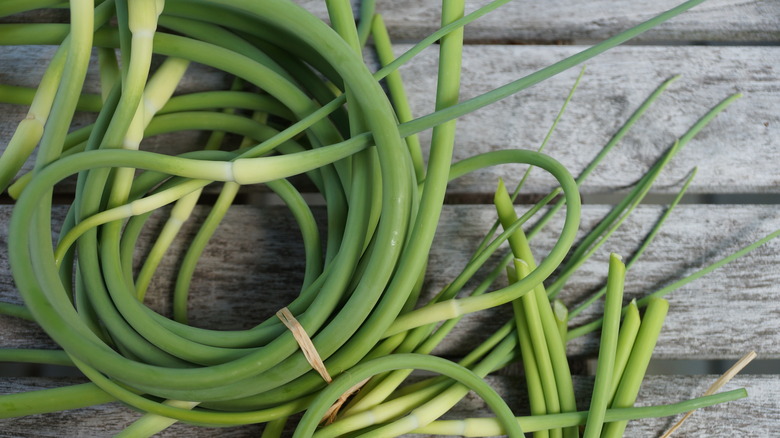 Garlic scapes