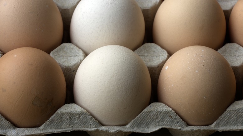 Eggs in paper carton