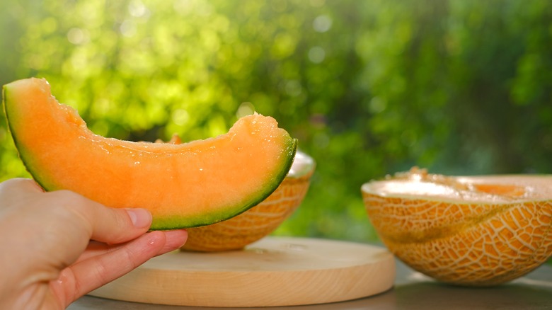 Holding melon slice