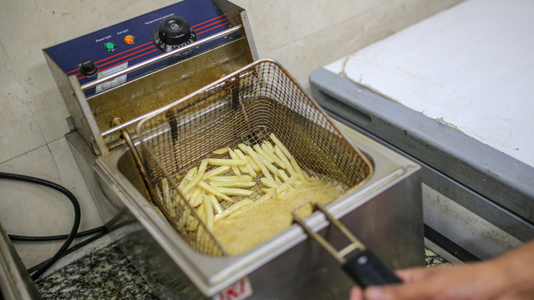 French fries in a home deep frier