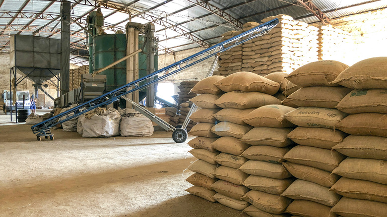 Coffee stored in warehouse