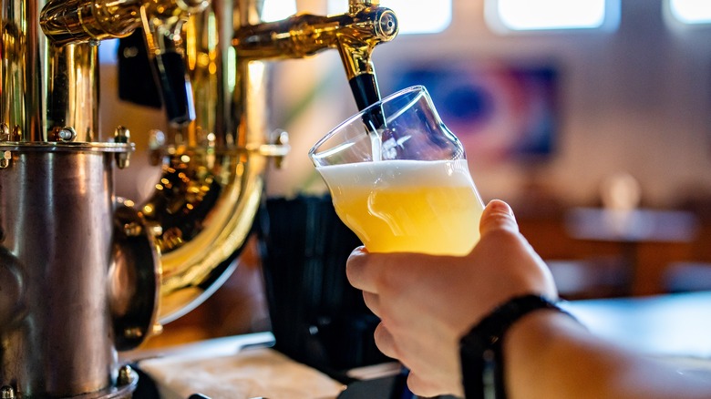 person pouring pint of draft beer