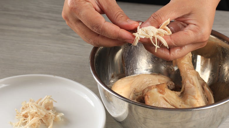 Hands shredding boiled chicken