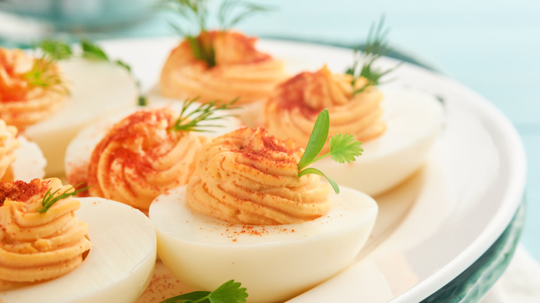 Deviled eggs dusted with paprika on plate