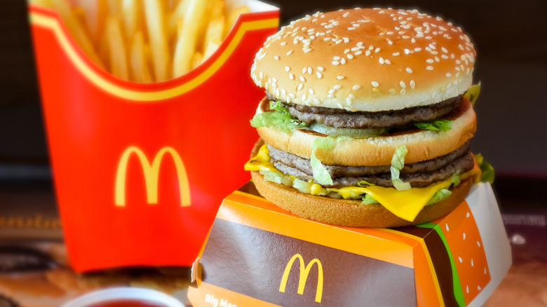 McDonald's Big Mac and french fries