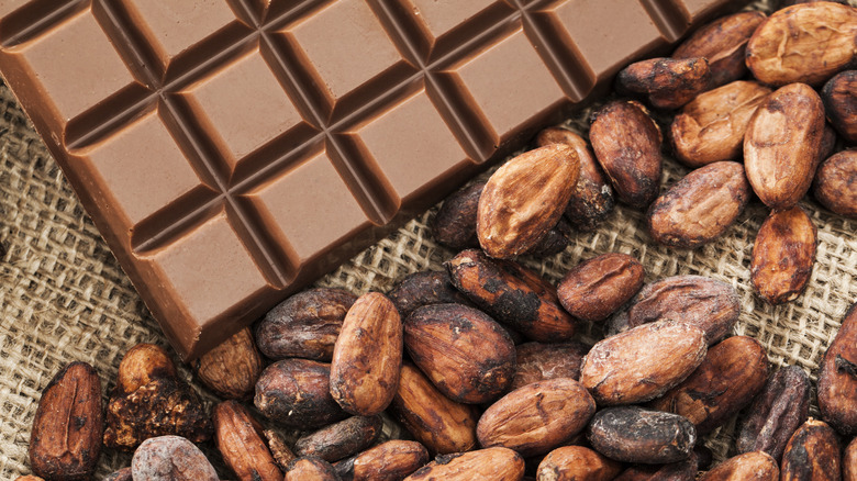 chocolate bar and cocoa beans