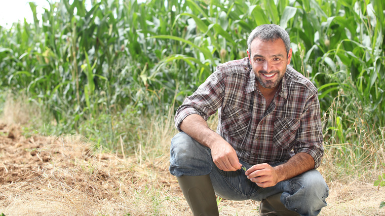 farmer kneeling by crops