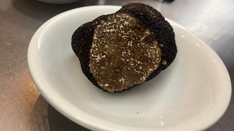 black truffle in dish