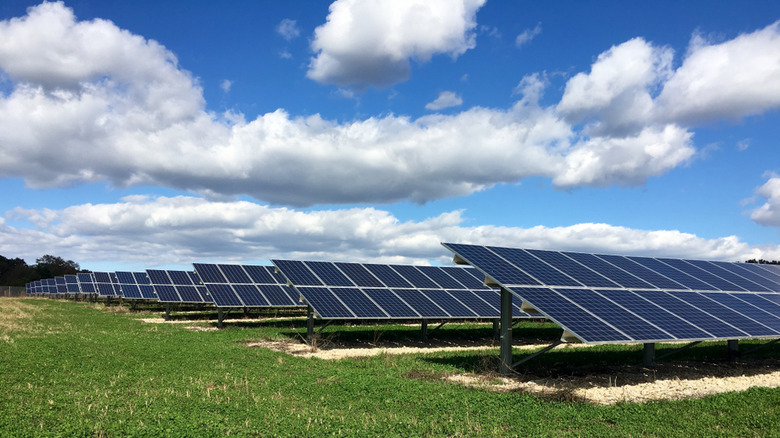 Mom's Organic Market solar project