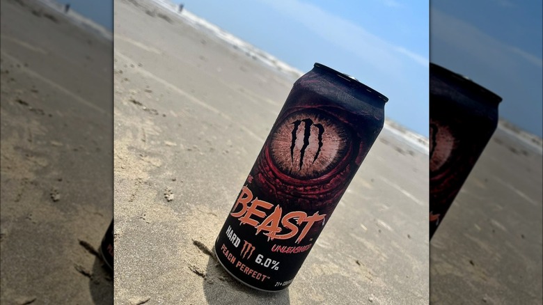 Beast Unleasehed on a beach