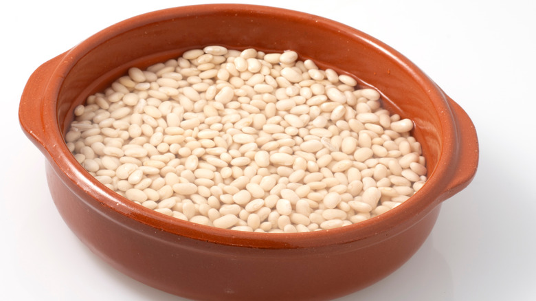 white beans soaking in water