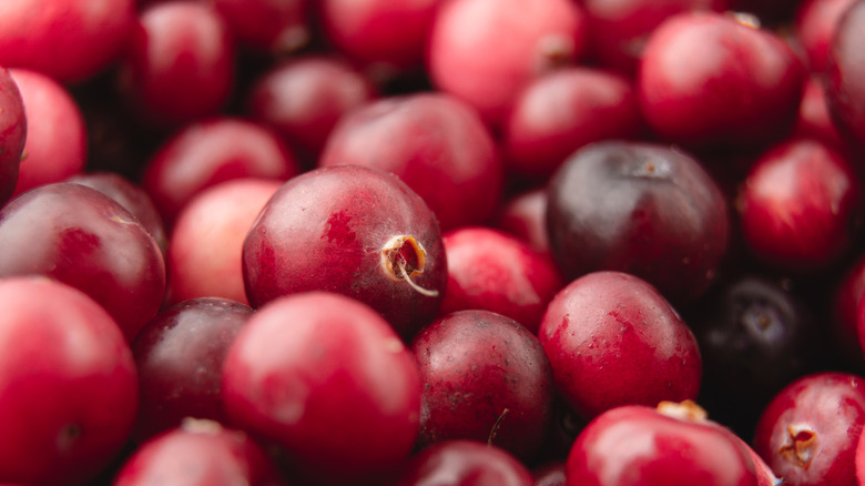 Pile of cranberries