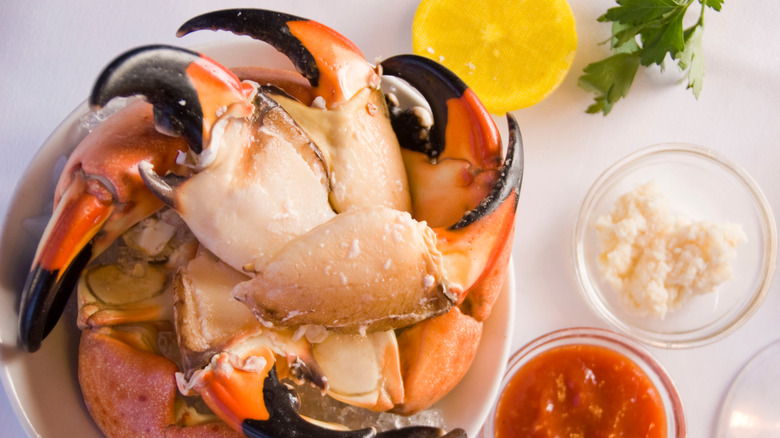 Stone crab claws with cocktail sauces