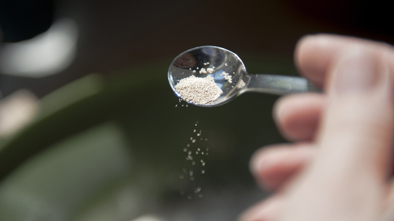 Person adding yeast to bowl