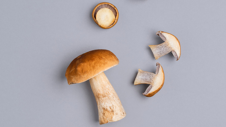 Mushrooms against gray background