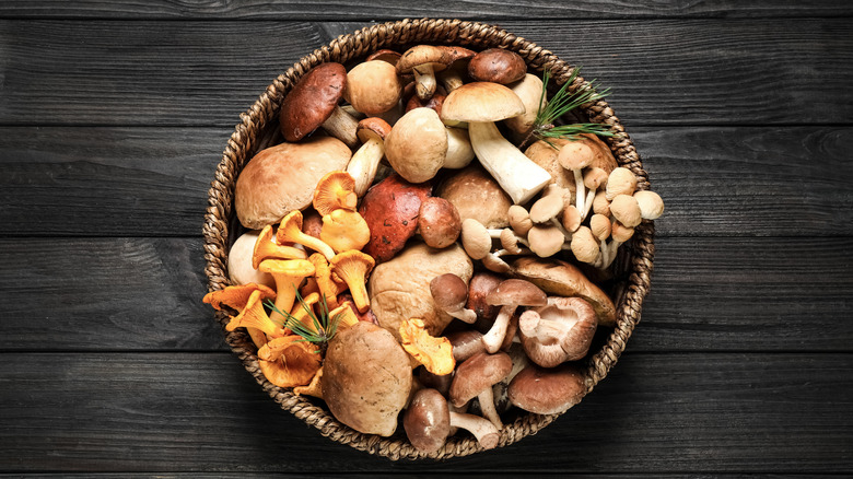 Basket of various mushrooms 