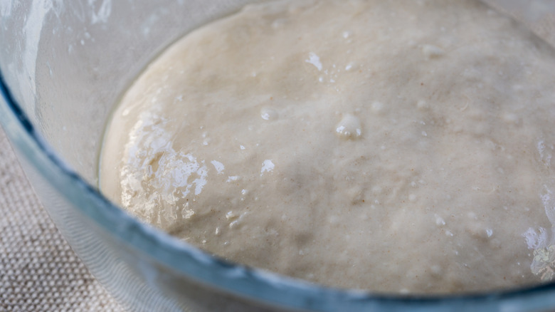 bread dough fermenting