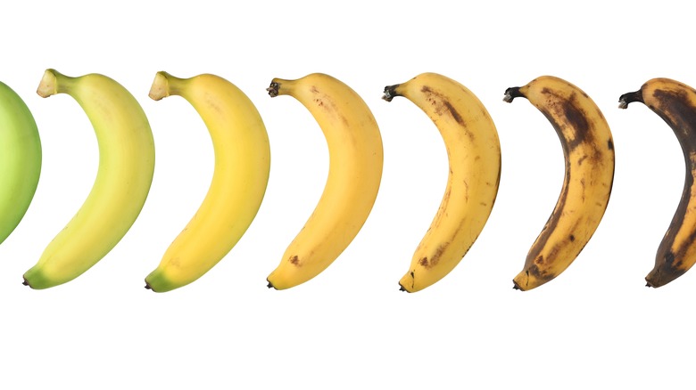 phases of a banana white background