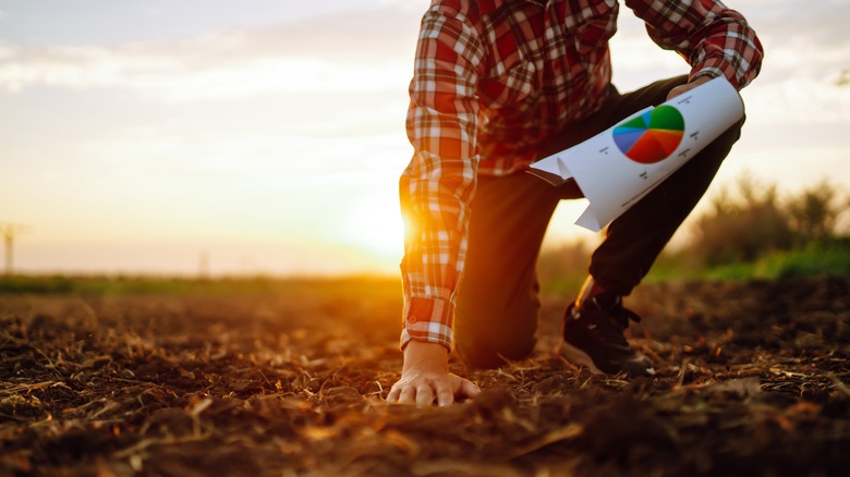 Farmer touching soil